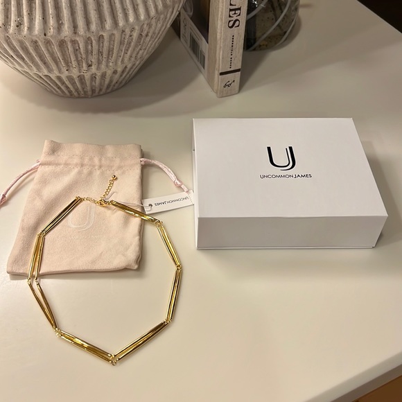 Uncommon James Jewelry - NWT UNCOMMON JAMES Double Edge Necklace
